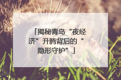揭秘青岛“夜经济”升腾背后的“隐形守护”