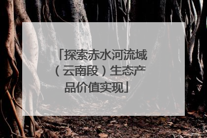 探索赤水河流域（云南段）生态产品价值实现