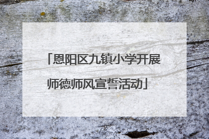 恩阳区九镇小学开展师德师风宣誓活动