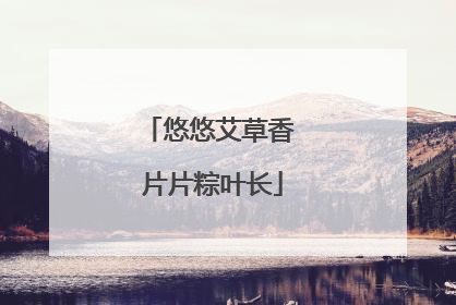 悠悠艾草香 片片粽叶长