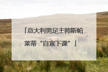 意大利男足主帅斯帕莱蒂“自宣下课”