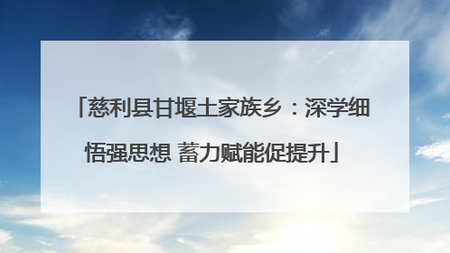 慈利县甘堰土家族乡：深学细悟强思想 蓄力赋能促提升