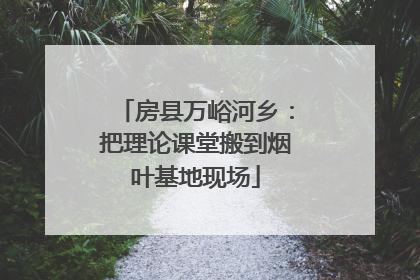 房县万峪河乡：把理论课堂搬到烟叶基地现场