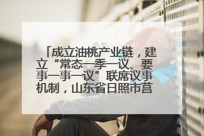 成立油桃产业链，建立“常态一季一议、要事一事一议”联席议事机制，山东省日照市莒县果庄镇——13个党小组“全周期”育果