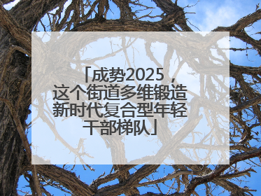 成势2025，这个街道多维锻造新时代复合型年轻干部梯队
