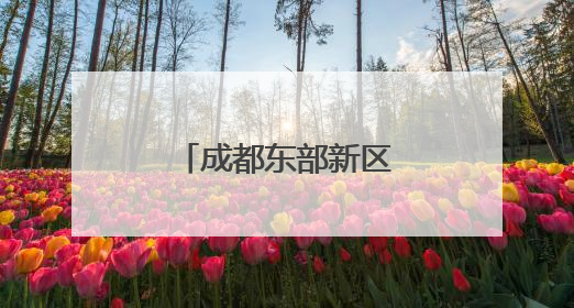 成都东部新区长出川内首串“蓝精灵”番茄