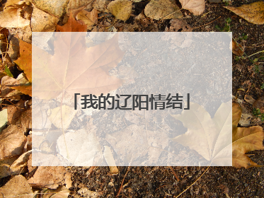 我的辽阳情结