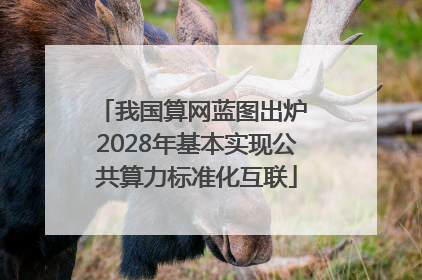 我国算网蓝图出炉 2028年基本实现公共算力标准化互联