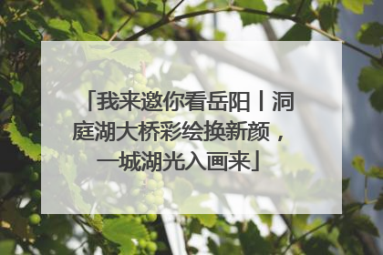 我来邀你看岳阳丨洞庭湖大桥彩绘换新颜，一城湖光入画来