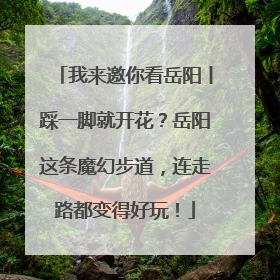我来邀你看岳阳丨踩一脚就开花？岳阳这条魔幻步道，连走路都变得好玩！