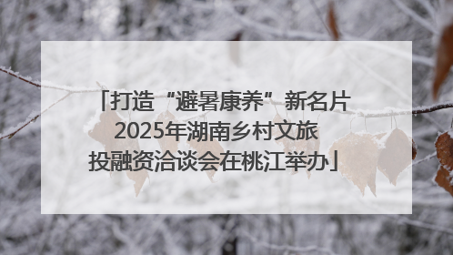 打造“避暑康养”新名片 2025年湖南乡村文旅投融资洽谈会在桃江举办