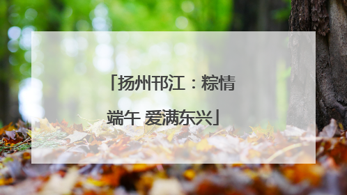 扬州邗江：粽情端午 爱满东兴