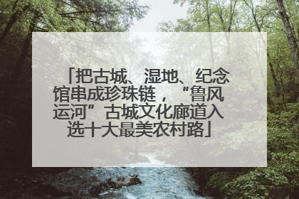 把古城、湿地、纪念馆串成珍珠链，“鲁风运河”古城文化廊道入选十大最美农村路