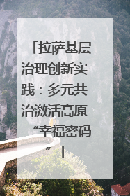 拉萨基层治理创新实践：多元共治激活高原“幸福密码”
