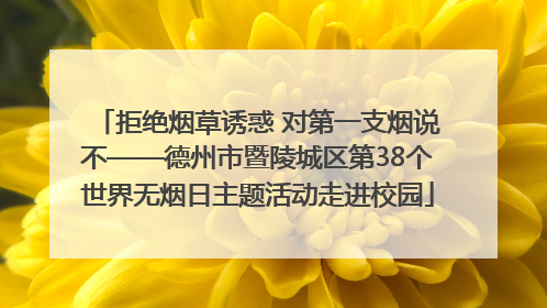 拒绝烟草诱惑 对第一支烟说不——德州市暨陵城区第38个世界无烟日主题活动走进校园