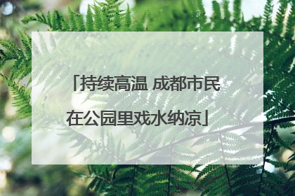 持续高温 成都市民在公园里戏水纳凉
