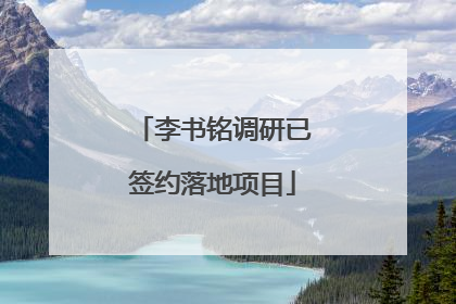 李书铭调研已签约落地项目