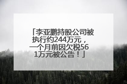 李亚鹏持股公司被执行约244万元，一个月前因欠税561万元被公告！