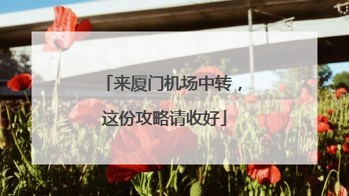 来厦门机场中转，这份攻略请收好