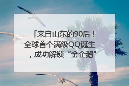 来自山东的90后！全球首个满级QQ诞生，成功解锁“金企鹅”，是继承父亲账号