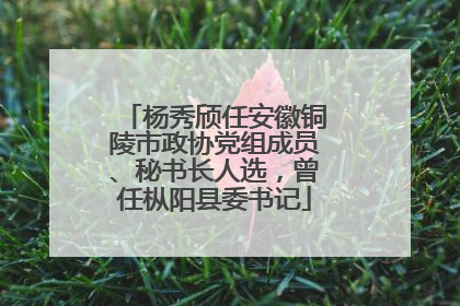 杨秀颀任安徽铜陵市政协党组成员、秘书长人选，曾任枞阳县委书记