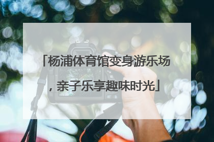 杨浦体育馆变身游乐场，亲子乐享趣味时光