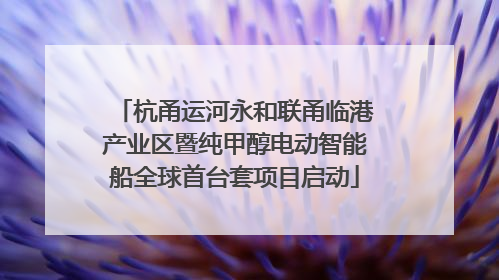 杭甬运河永和联甬临港产业区暨纯甲醇电动智能船全球首台套项目启动