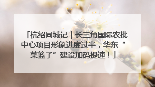 杭绍同城记｜长三角国际农批中心项目形象进度过半，华东“菜篮子”建设加码提速！