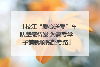 枝江“爱心送考”车队整装待发 为高考学子铺就顺畅赴考路
