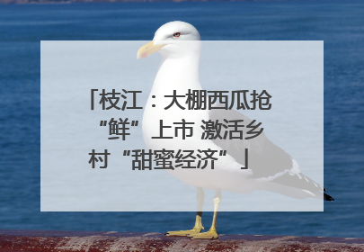 枝江：大棚西瓜抢“鲜”上市 激活乡村“甜蜜经济”