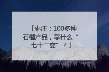 枣庄：100多种石榴产品，靠什么“七十二变”？