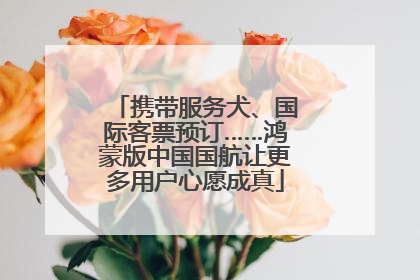 携带服务犬、国际客票预订……鸿蒙版中国国航让更多用户心愿成真