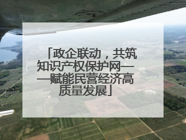 政企联动，共筑知识产权保护网——赋能民营经济高质量发展