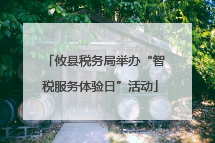 攸县税务局举办“智税服务体验日”活动