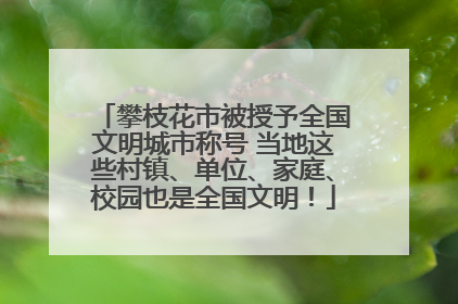 攀枝花市被授予全国文明城市称号 当地这些村镇、单位、家庭、校园也是全国文明！
