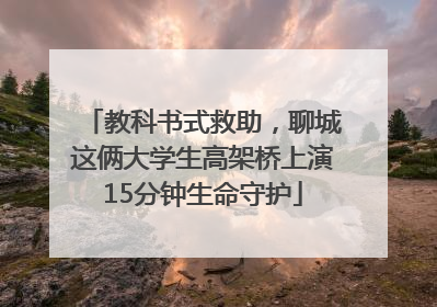 教科书式救助，聊城这俩大学生高架桥上演15分钟生命守护