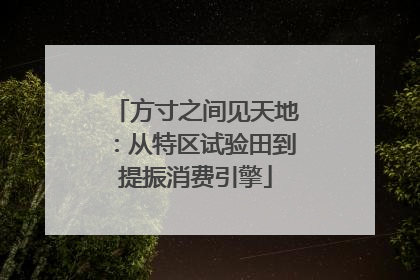 方寸之间见天地：从特区试验田到提振消费引擎