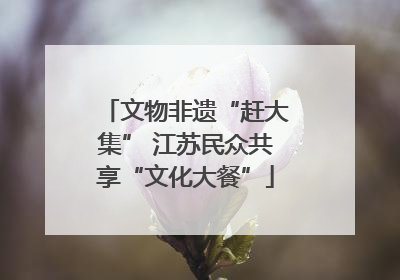 文物非遗“赶大集” 江苏民众共享“文化大餐”