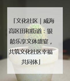 文化社区｜威海高区田和街道：银龄乐享文体盛宴，共筑文化社区幸福共同体
