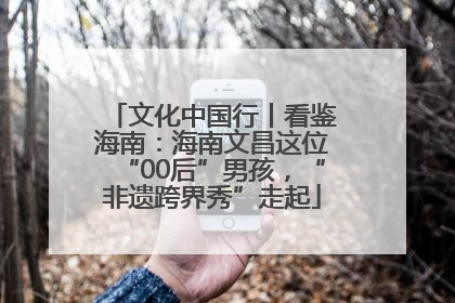 文化中国行丨看鉴海南：海南文昌这位“00后”男孩，“非遗跨界秀”走起