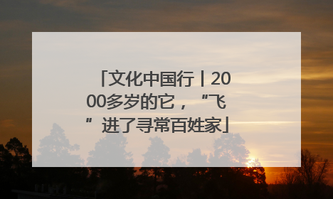 文化中国行丨2000多岁的它，“飞”进了寻常百姓家