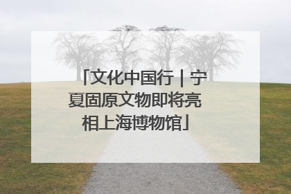 文化中国行｜宁夏固原文物即将亮相上海博物馆