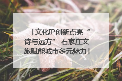 文化IP创新点亮“诗与远方” 石家庄文旅赋能城市多元魅力