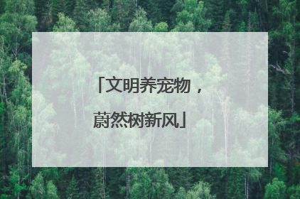 文明养宠物，蔚然树新风