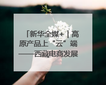 新华全媒+｜高原产品上“云”端——西藏电商发展一线观察