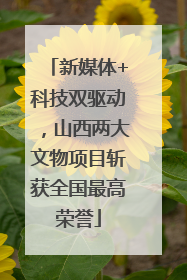 新媒体+科技双驱动，山西两大文物项目斩获全国最高荣誉