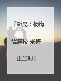 新晃：杨梅缀满枝 采梅正当时