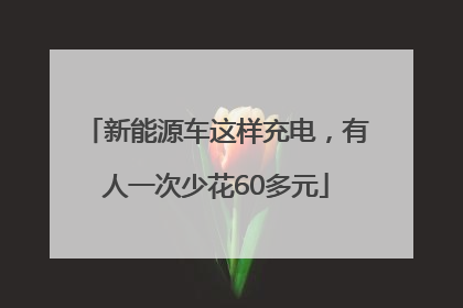 新能源车这样充电，有人一次少花60多元