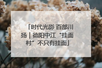 时代光影 百部川扬｜德阳中江“挂面村”不只有挂面