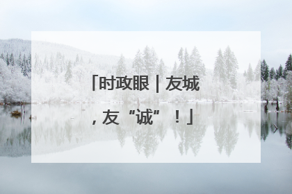 时政眼｜友城，友“诚”！